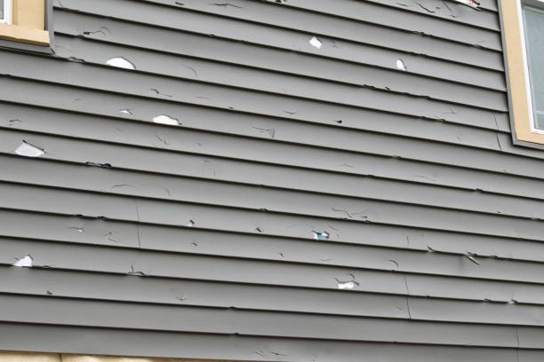 Best Vinyl Siding Installation  in Holly Ridge, NC