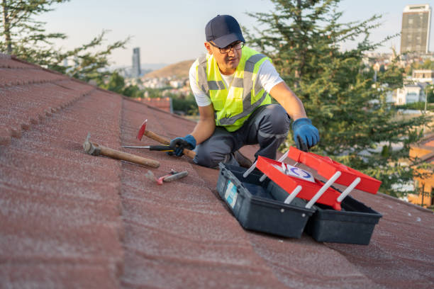 Best Fascia and Soffit Installation  in Holly Ridge, NC